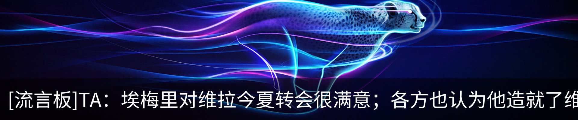 最新动态